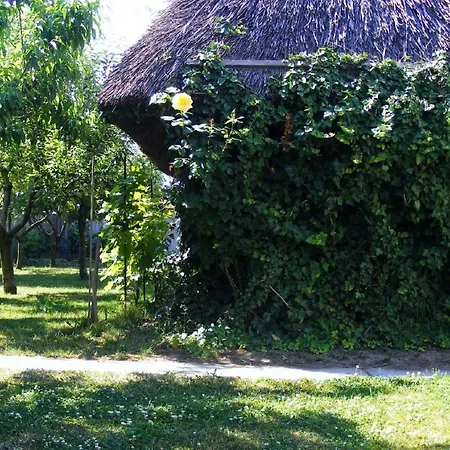 Holiday Abadszalok/theiss-see 20563 Casa vacanze